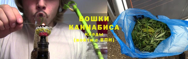 амф Богородск