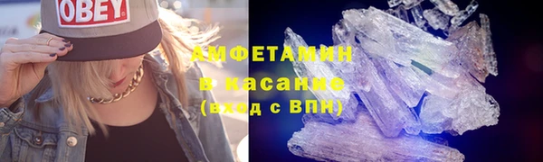 ECSTASY Богданович