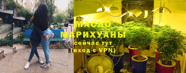 ECSTASY Богданович