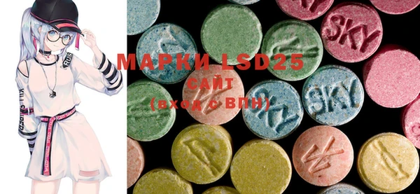 ECSTASY Богданович