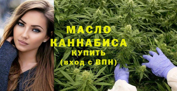 mdpv Бородино