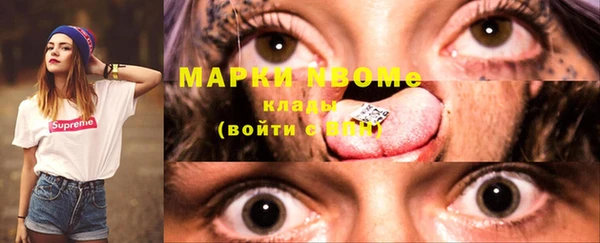 ECSTASY Богданович