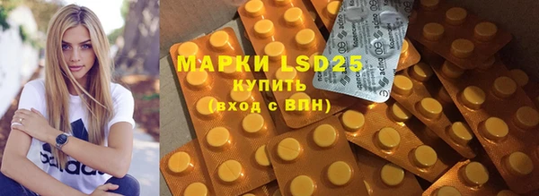 ECSTASY Богданович