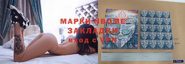 ECSTASY Богданович
