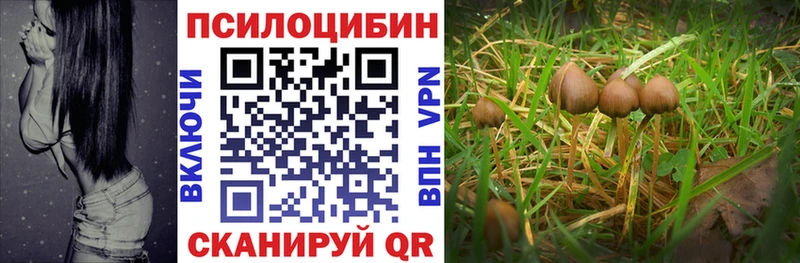 Псилоцибиновые грибы ЛСД Верхняя Пышма